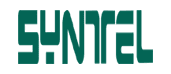 syntel-2